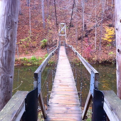 Sheltowee Trace, one suspension bridge